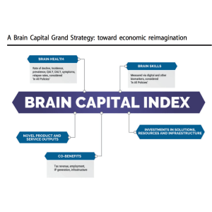 Brain Capital Index 01